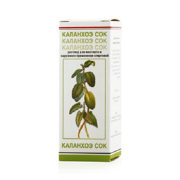 Каланхоэ сок р-р для местн. и нар. прим. спирт. 20 мл