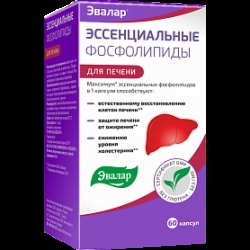 Эссенциальные фосфолипиды капс. жел. № 60 БАД